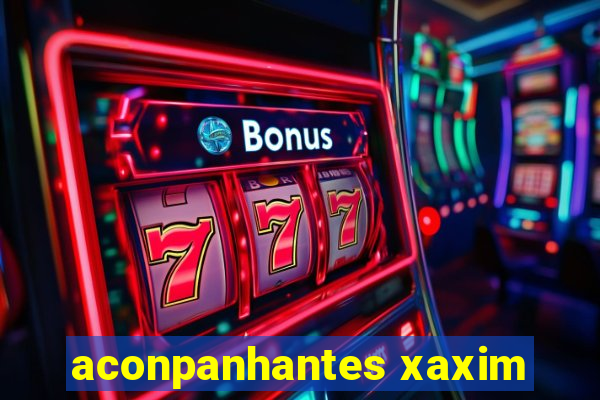 aconpanhantes xaxim